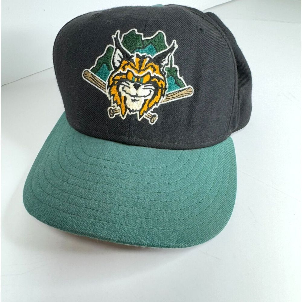 Vtg‎ Lynchburg Hillcats Cap Sz 7 1/2 Made USA New Era 5950 Pro Wool MILB Fitted